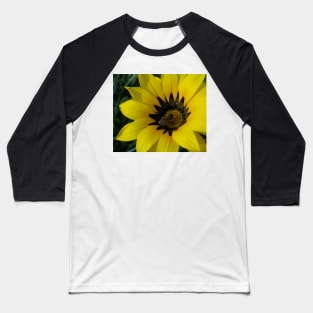 Gazania 12 - Gazania with Bee photograph Baseball T-Shirt